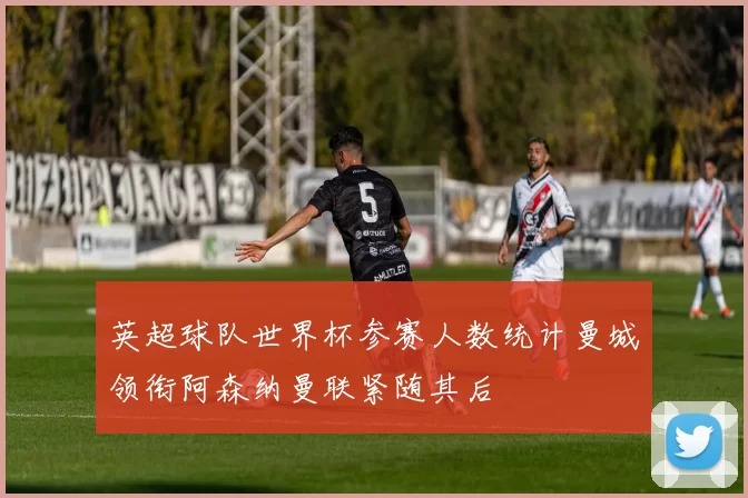 英超球队世界杯参赛人数统计曼城领衔阿森纳曼联紧随其后